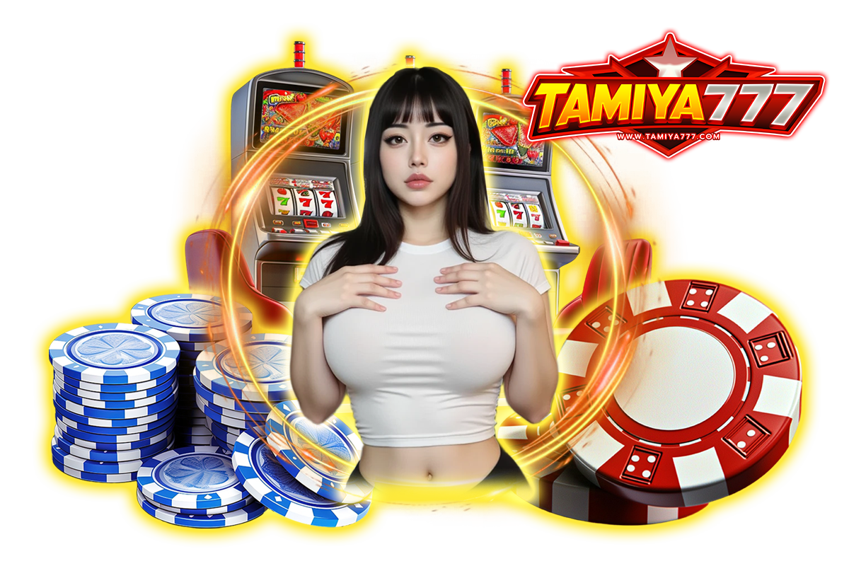 tamiya777 ทางเข้า